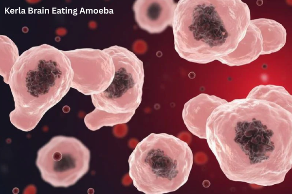 Kerla Brain Eating Amoeba